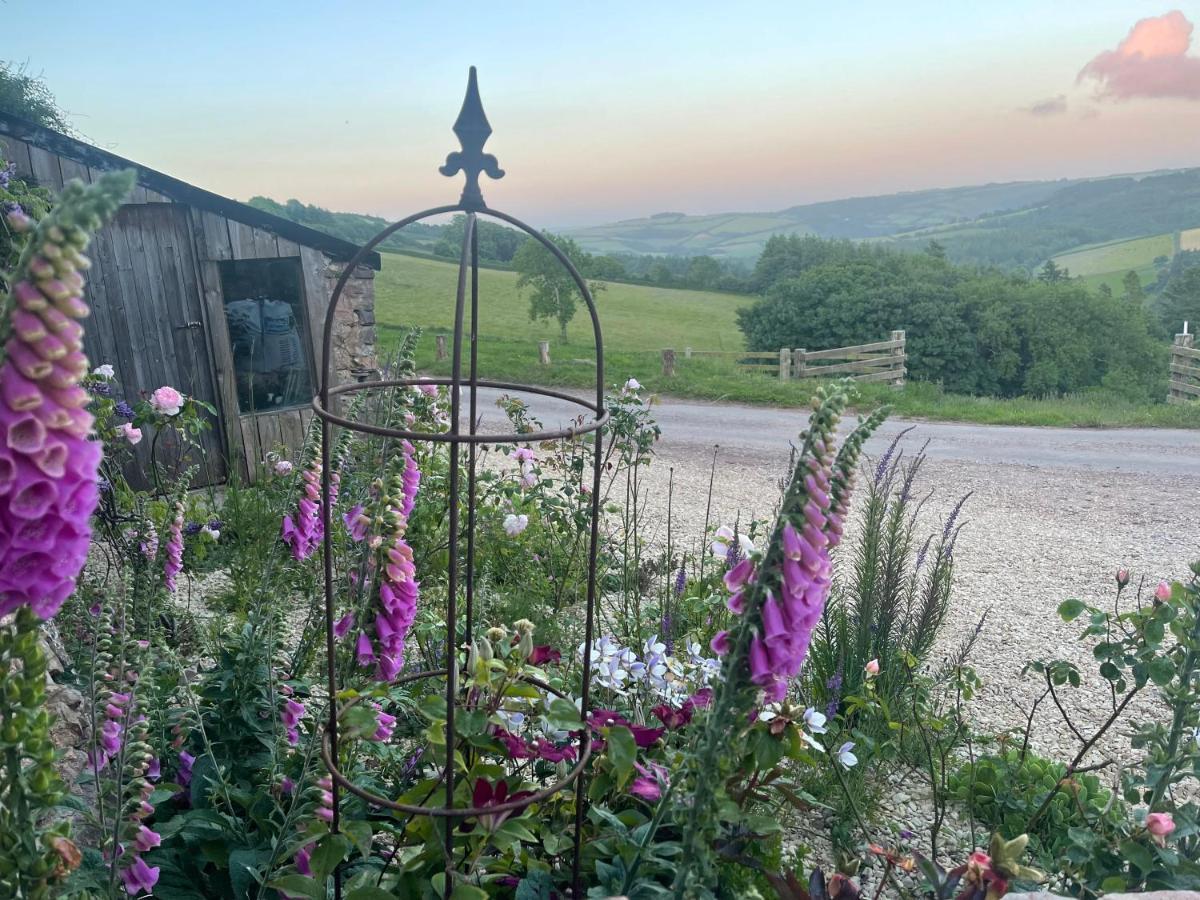 Slowley Farm Cottage Luxborough Екстер'єр фото